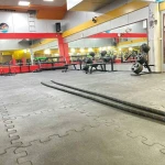  باشگاه عباس جدیدی