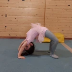 آکادمی ژیمناستیک مهتاب