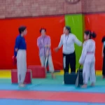 آکادمی تکواندو استاد میری (دختران خورشید)