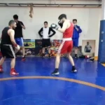  گروه آموزش بوکس دستکش زرین (استادرضا علیخانی)
