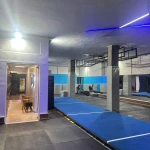  باشگاه ورزشی هرمیس