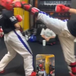 کیک بوکسینگ و کنتاکت کاراته افق لاله