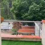 مهدکودک و پیش دبستانی نیلوفر آبی
