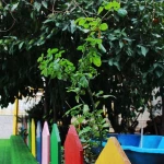  پیش دبستانی و دبستان دخترانه منجی