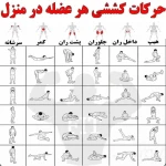  باشگاه ورزشی حسنین