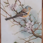 آموزشگاه نقاشی باغچه رنگ (غزاله فرشچی)