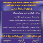 مجتمع فنی علوی