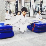  آکادمی کیوکوشین کاراته