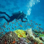 آموزش غواصی و نجات غریق