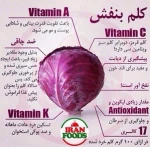  باشگاه ورزشی پارت نوین (ویژه بانوان )