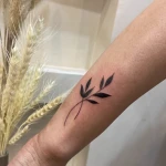 سالن زیبایی و آرایشگاه زنانه بی بی