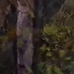  آموزشگاه نقاشی نقش و نگار