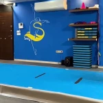 آکادمی ژیمناستیک صحرا