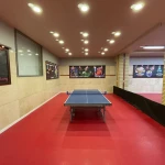 آکادمی پینگ پنگ (تنیس روی میز) توانا