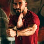  باشگاه رزمی و  ام ام ای استاد صفری
