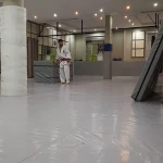 نینجا تهران مهدی صلح دوست
