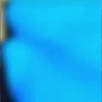 آکادمی ژیمناستیک صحرا