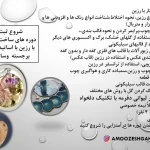  آموزشگاه هنرهای تجسمی آرینه