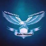 کیک بوکسینگ و کنتاکت کاراته افق لاله