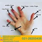  مرکز زبان شید ویژه کودکان ، نوجوانان و بزرگسالان