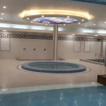  مجتمع بدنسازی سازمان انرژی اتمی (میلاد)