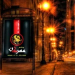  موسسه آموزشی مهرگان - آموزش زبان