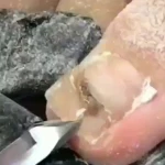  سالن  زیبایی مجد
