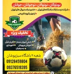  آکادمی فوتبال سبزپوشان (شعبه دوم)