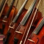  آموزشگاه موسیقی و نقاشی شبستری