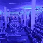 باشگاه vip سورن(بانوان و آقایان)