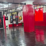  باشگاه رزمی ستارگان (پیروزی)