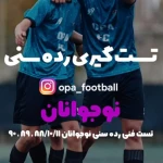 آکادمی فوتبال افق پایتخت (صادقیه)