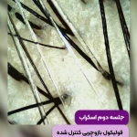 خانه زیبایی لیامون