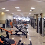  باشگاه ورزشی پایا