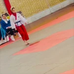  آکادمی تکواندو استاد میری (دختران خورشید)
